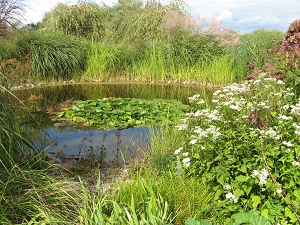 Wiederhold Garten Langerwisch Foto Brandt